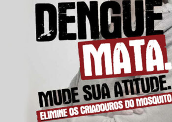 RS chega a 12 mortes por dengue em 2022