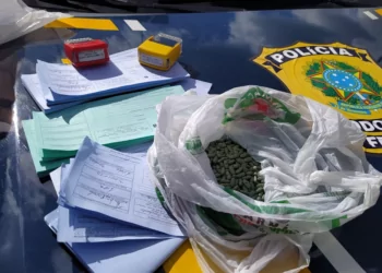 PRF prende traficantes argentinos com mais de mil comprimidos de ‘Boa Noite, Cinderela’
