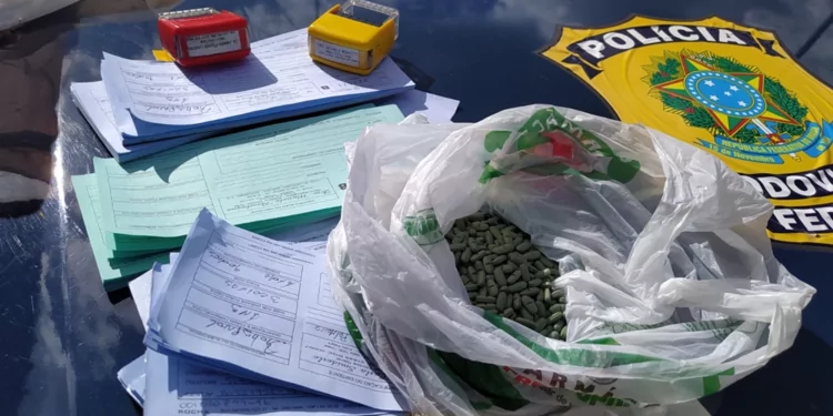 PRF prende traficantes argentinos com mais de mil comprimidos de ‘Boa Noite, Cinderela’