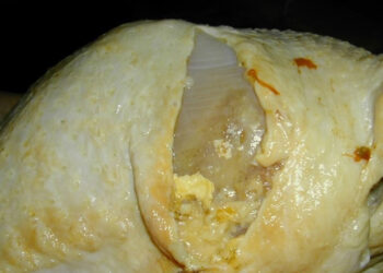 Celulite nos frangos pode causar perdas milionárias