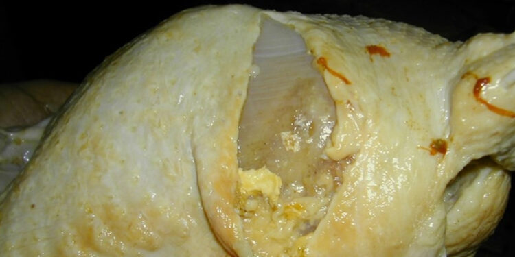 Celulite nos frangos pode causar perdas milionárias