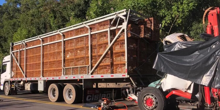 Acidente na Serra do Rio das Antas deixa dois mortos