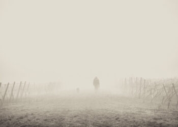 Sol predomina no RS neste sábado