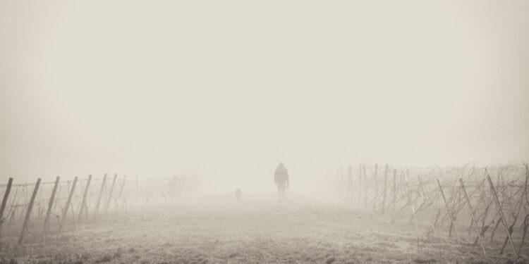 Sol predomina no RS neste sábado