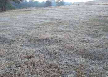 Sexta-feira será de sol e amanhecer gelado na maior parte do RS