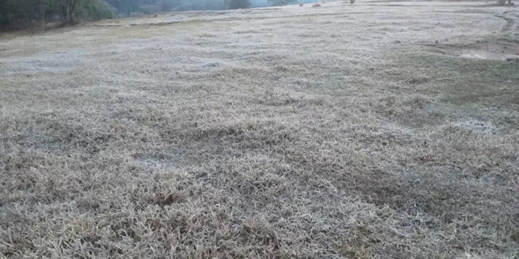 Sexta-feira será de sol e amanhecer gelado na maior parte do RS