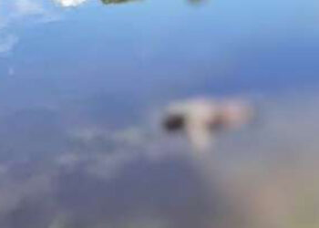 Cadáver é encontrado no interior de Farroupilha