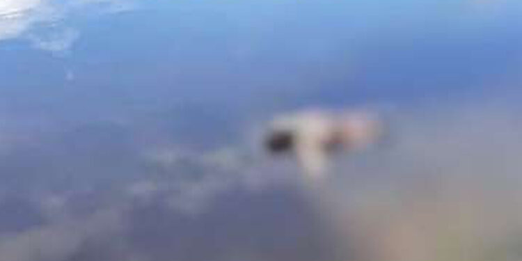 Cadáver é encontrado no interior de Farroupilha