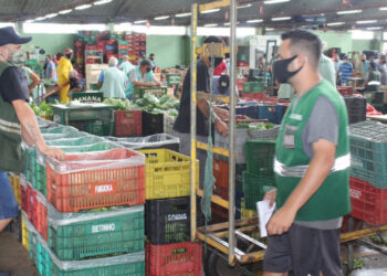 Ceasa colocará 75 espaços comerciais à venda