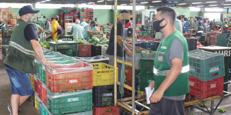 Ceasa colocará 75 espaços comerciais à venda