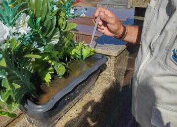 Caxias do Sul e Bento Gonçalves registram casos de dengue autóctone e importados