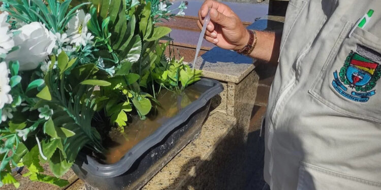 Caxias do Sul e Bento Gonçalves registram casos de dengue autóctone e importados