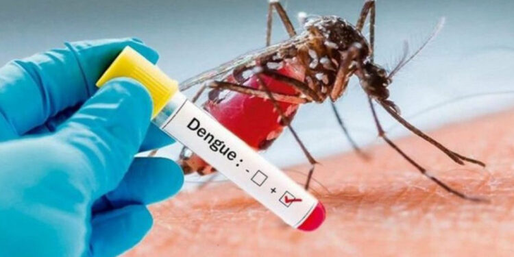 Dengue provoca a primeira morte em Uruguaiana