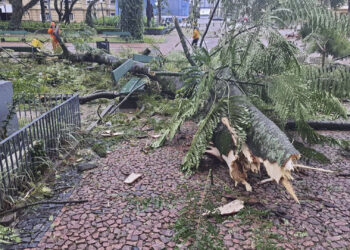 Tempestade Yakecan deixa mais de 200 mil clientes sem energia elétrica no RS; Confira as cidades mais afetadas
