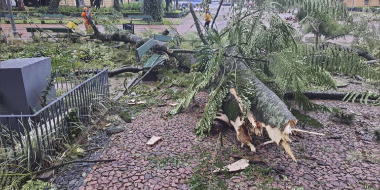 Tempestade Yakecan deixa mais de 200 mil clientes sem energia elétrica no RS; Confira as cidades mais afetadas