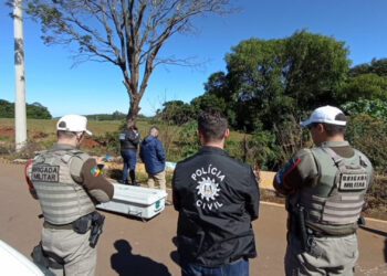 Feto é encontrado dentro de balde em Passo Fundo