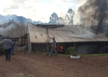 Animais morrem e máquinas agrícolas são destruídas por incêndio em Nova Candelária