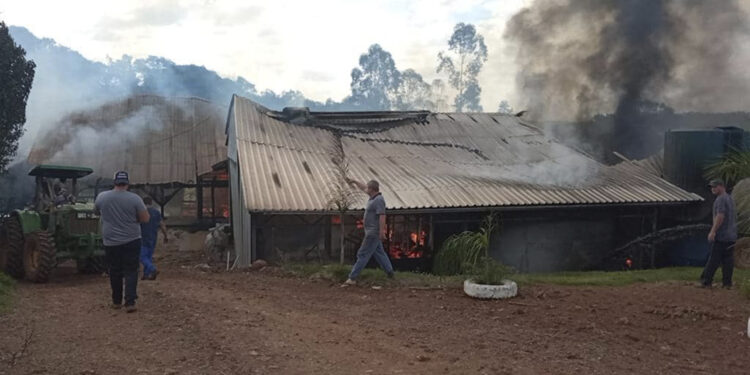 Animais morrem e máquinas agrícolas são destruídas por incêndio em Nova Candelária