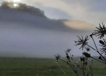 Domingo será frio e nublado no RS