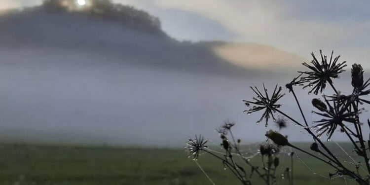 Domingo será frio e nublado no RS