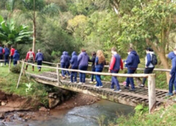 Nova Pádua divulga a programação da Semana do Meio Ambiente