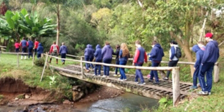 Nova Pádua divulga a programação da Semana do Meio Ambiente
