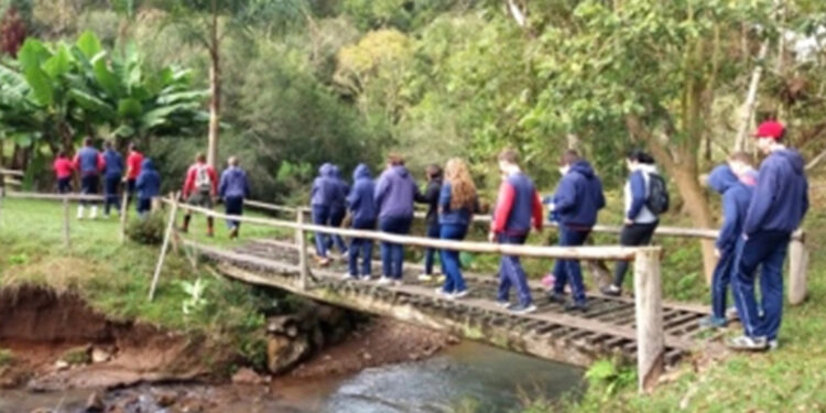Nova Pádua divulga a programação da Semana do Meio Ambiente