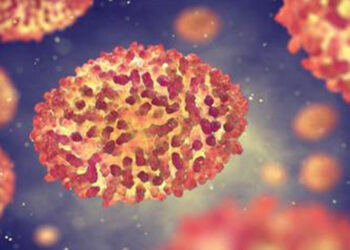 Varíola do macaco: RS confirma caso suspeito da doença em Porto Alegre