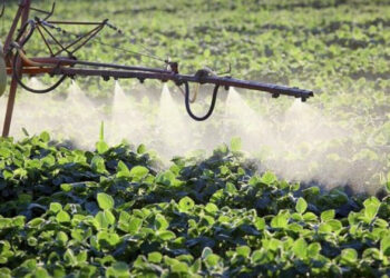 Em guerra, Rússia promete manter comércio de fertilizantes com Brasil