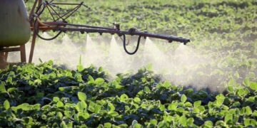 Em guerra, Rússia promete manter comércio de fertilizantes com Brasil