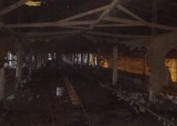 Cerca de 14 mil aves morrem após incêndio em aviário em Ilópolis