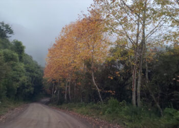 Sexta-feira começa fria no RS