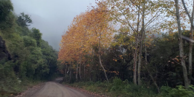 Sexta-feira começa fria no RS