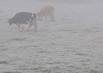 Frio intenso segue neste domingo no RS