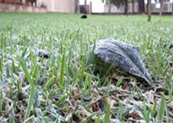 Primeiro dia de junho começa com frio no Rio Grande do Sul