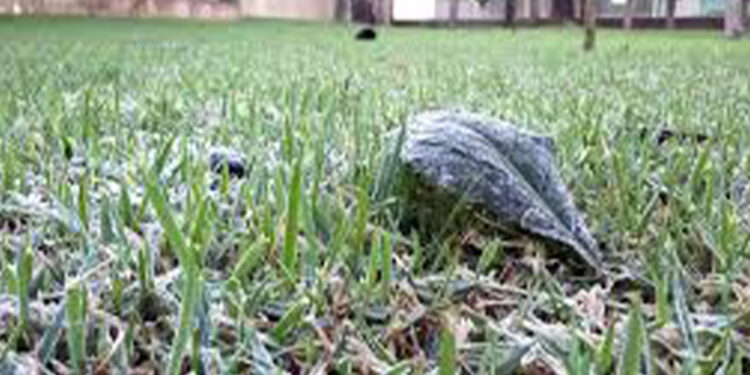 Primeiro dia de junho começa com frio no Rio Grande do Sul