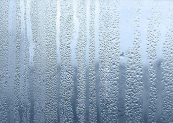 Semana começa com muita umidade e marcas amenas no RS