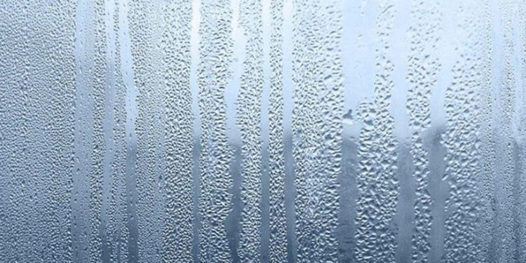 Semana começa com muita umidade e marcas amenas no RS