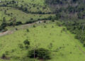 Proprietário rural pode emitir Certificado de Cadastro de Imóvel