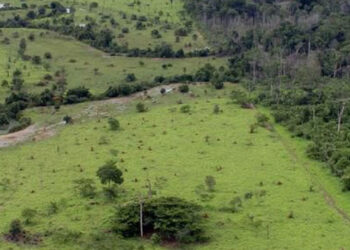 Proprietário rural pode emitir Certificado de Cadastro de Imóvel