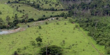 Proprietário rural pode emitir Certificado de Cadastro de Imóvel