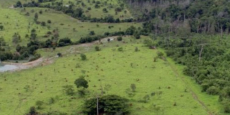 Proprietário rural pode emitir Certificado de Cadastro de Imóvel
