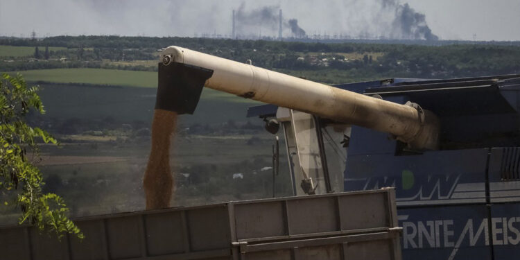 Rússia ataca Ucrânia um dia após avanço em negociações sobre grãos