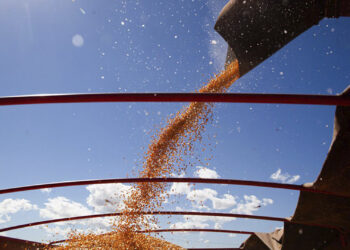 Ucrânia tem milhões de toneladas de grãos sem local para armazenamento