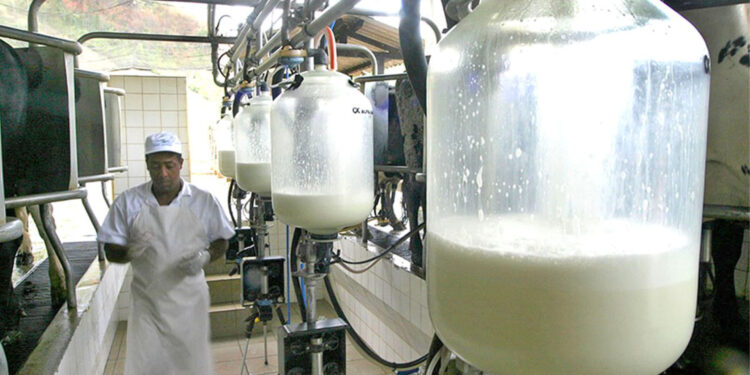 A conta para o produtor de leite não fecha