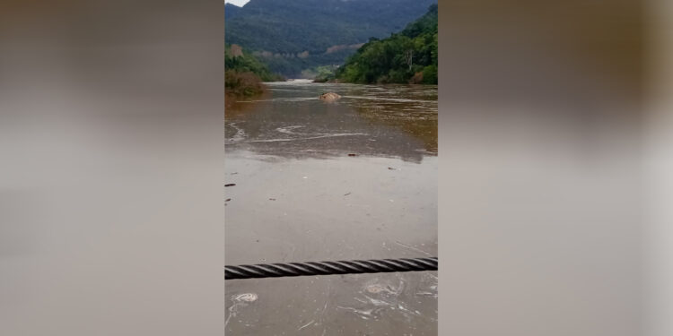 AVISO DE UTILIDADE PÚBLICA: BALSA ENTRE NOVA ROMA E NOVA PÁDUA FECHARÁ ÀS 19H E ABRIRÁ ÀS 6H