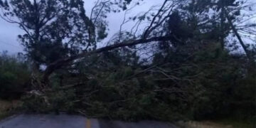 Temporal causa estragos em municípios do RS