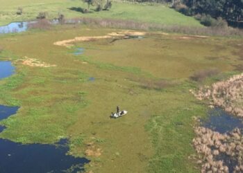 Policiais suspeitos do desaparecimento de jovem em São Gabriel são presos