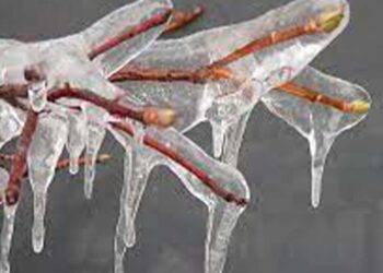 Frio avança na sexta-feira e registra chuva congelada no RS