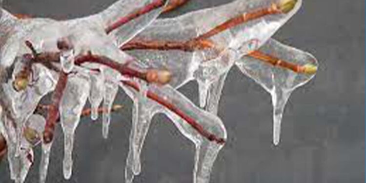 Frio avança na sexta-feira e registra chuva congelada no RS